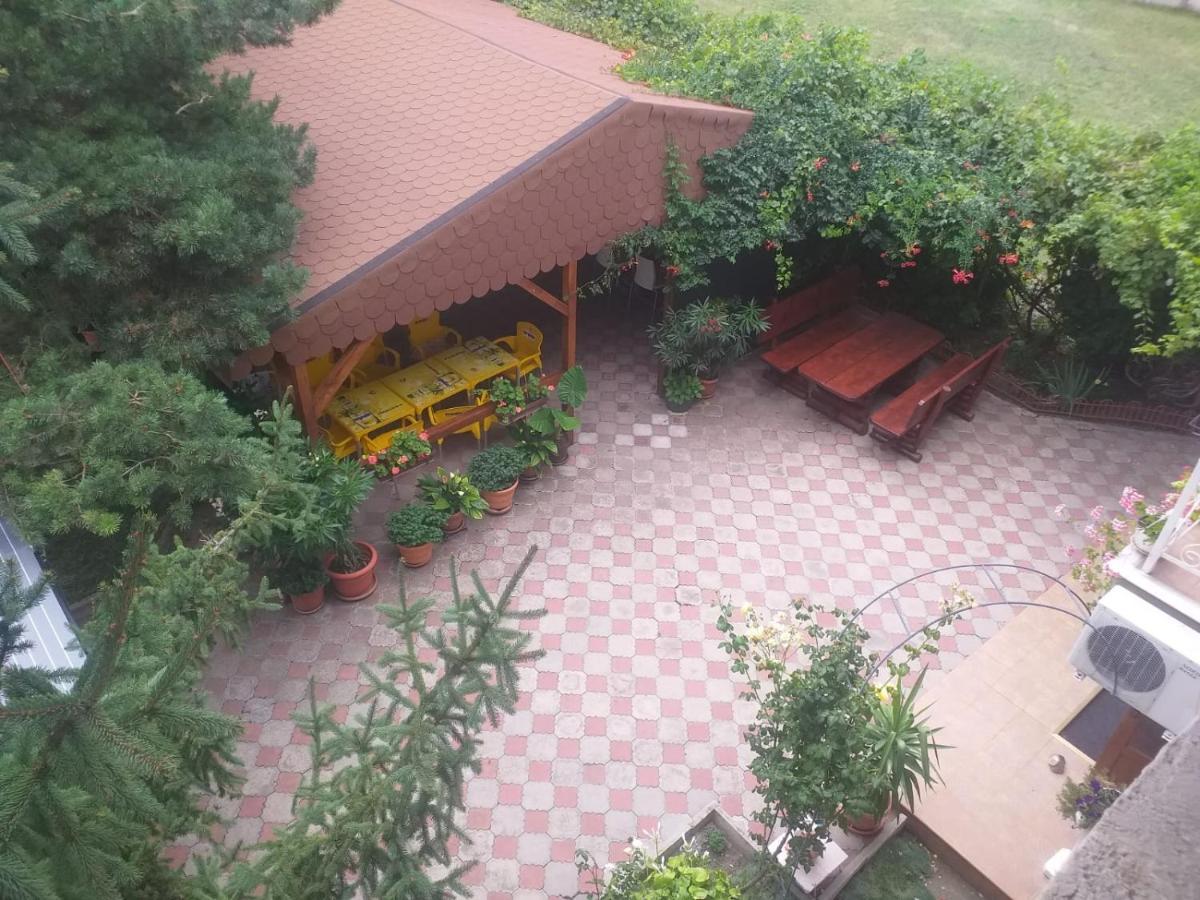 Pensiunea Paradis Vrancean Cotesti  Buitenkant foto