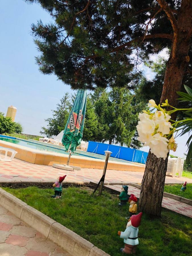 Pensiunea Paradis Vrancean Cotesti  Buitenkant foto