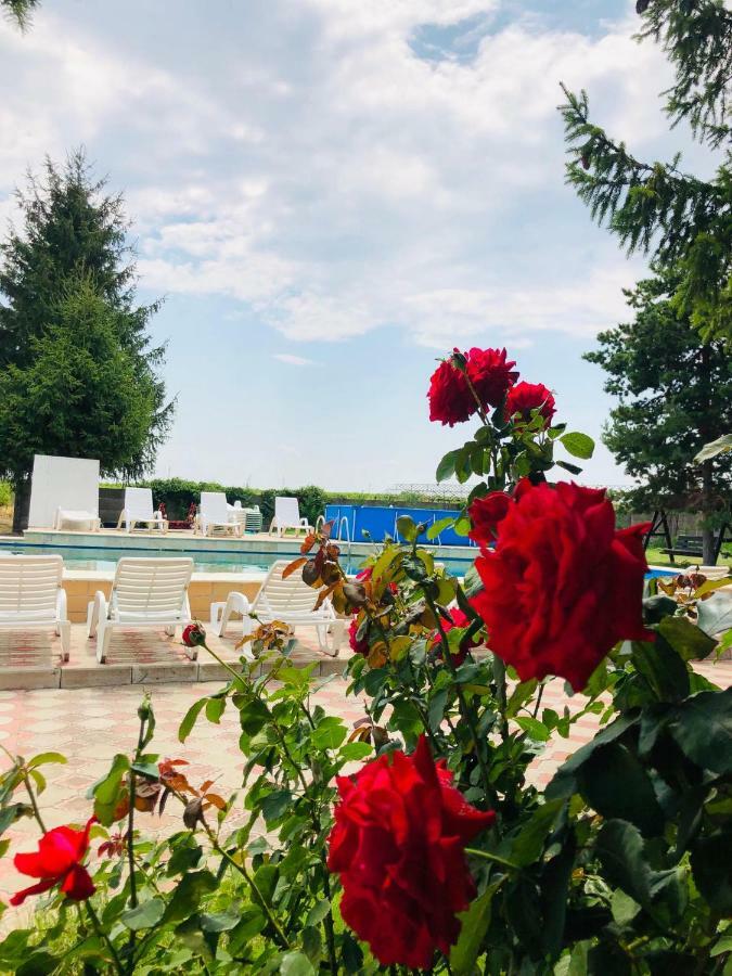 Pensiunea Paradis Vrancean Cotesti  Buitenkant foto