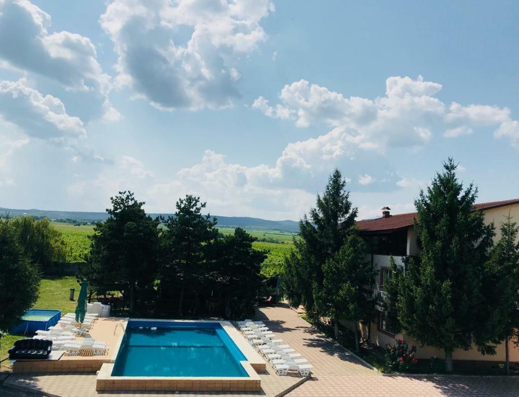 Pensiunea Paradis Vrancean Cotesti  Buitenkant foto